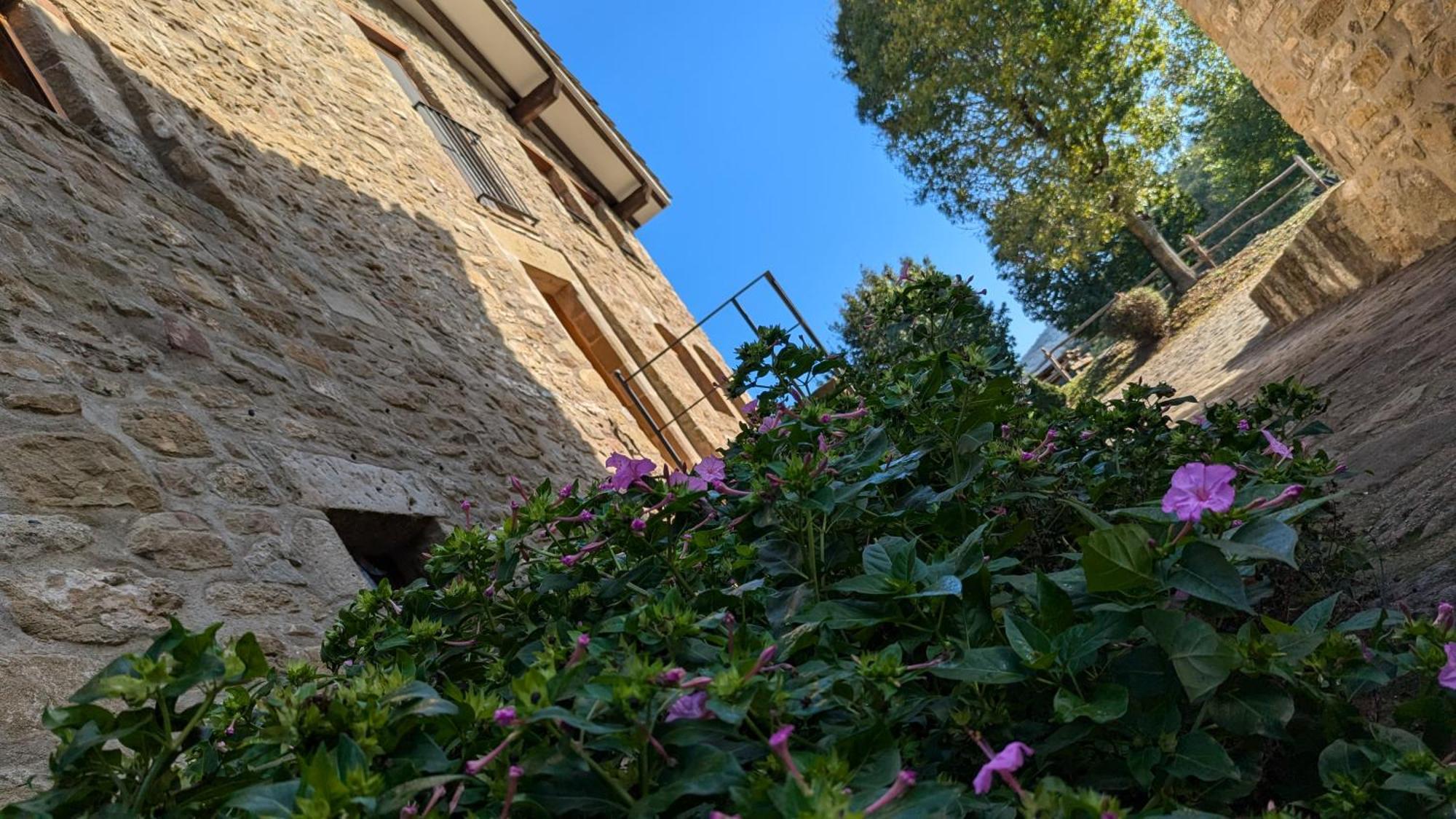 Mas El Carrer Apartment Santa Pau Bagian luar foto